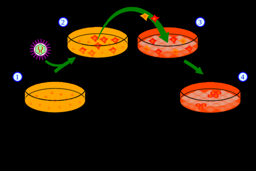 626112c038759