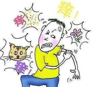 6333f6a82b815